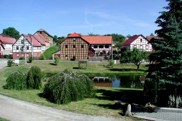 Teichweiden_Teichweiden 03.jpg